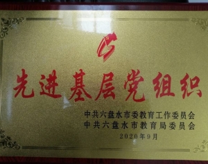 2020年先进基层党组织