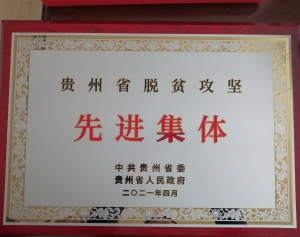 贵州省脱贫攻坚先进集体（2021年）